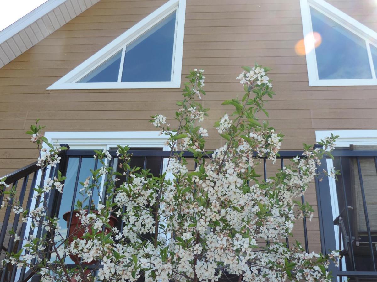Saint-Ferdinand Chalets Garou מראה חיצוני תמונה